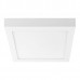 Светильник настенно-потолочный накладной Lightstar Zocco 324184