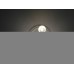 Люстра потолочная Lumion Verena 3254/5C