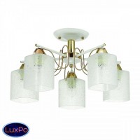 Люстра потолочная Lumion Opicus 3508/5C