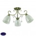 Люстра потолочная Lumion Eleconca 3511/3C