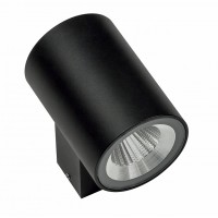 Светодиодный уличный настенный светильник LIGHTSTAR PARO 351672
