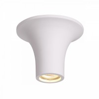 Потолочный накладной светильник Odeon GIPS 3552/1C