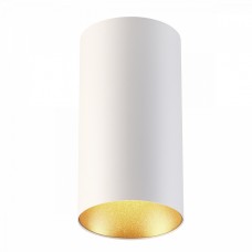 Потолочный накладной светильник Odeon PRODY 3556/1C