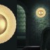 Светодиодный настенно-потолочный светильник ODEON SOLARIO 3559/24L