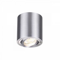 Потолочный накладной светильник Odeon TUBORINO 3566/1C