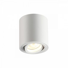 Потолочный накладной светильник Odeon TUBORINO 3567/1C