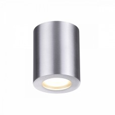 Потолочный накладной светильник Odeon AQUANA 3570/1C