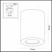 Потолочный накладной светильник Odeon AQUANA 3570/1C