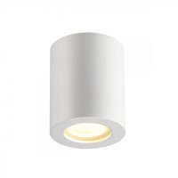 Потолочный накладной светильник Odeon AQUANA 3571/1C