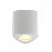 Потолочный накладной светильник Odeon AQUANA 3574/1C