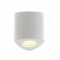 Потолочный накладной светильник Odeon AQUANA 3574/1C
