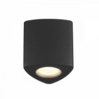 Потолочный накладной светильник Odeon AQUANA 3575/1C