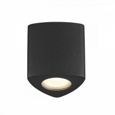 Потолочный накладной светильник Odeon AQUANA 3575/1C