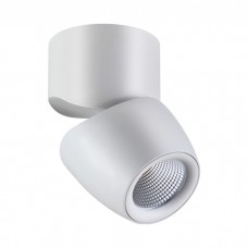 Спот Novotech ZEUS 357868