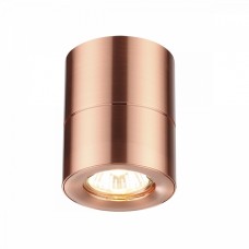 Потолочный накладной светильник Odeon COPPERIUM 3586/1C