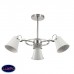 Люстра потолочная Lumion Arudlis 3591/3C