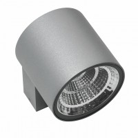 Светодиодный уличный настенный светильник LIGHTSTAR PARO 360692