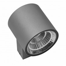 Светодиодный уличный настенный светильник LIGHTSTAR PARO 361694 Светодиодный уличный настенный светильник LIGHTSTAR PARO 361694