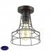 Светильник потолочный Lumion ALFRED 3639/1C
