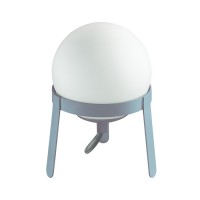 Настольная лампа Lumion CHIPO 3650/1T