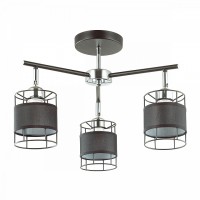 Люстра потолочная Lumion KAYDEN 3664/3C