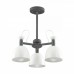 Люстра потолочная Lumion FIONA 3687/3C