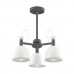 Люстра потолочная Lumion FIONA 3687/3C