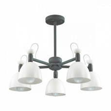 Люстра потолочная Lumion FIONA 3687/5C