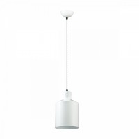 Светильник подвесной Lumion RIGBY 3694/1
