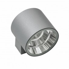 Светодиодный уличный настенный светильник LIGHTSTAR PARO 370694 Светодиодный уличный настенный светильник LIGHTSTAR PARO 370694