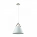Светильник подвесной Lumion DARREN 3720/1