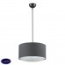 Светильник подвесной Lumion DORA 3736/1