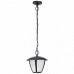 Светодиодный уличный подвесной светильник LIGHTSTAR LAMPIONE 375070