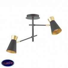 Люстра потолочная Lumion LIAM 3790/2C
