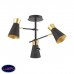 Люстра потолочная Lumion LIAM 3790/3C