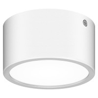 Потолочный накладной светильник Lightstar ZOLLA 380163