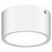 Потолочный накладной светильник Lightstar ZOLLA 380163