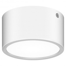 Потолочный накладной светильник Lightstar ZOLLA 380164