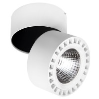 Светильник накладной Lightstar Forte 381364