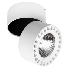 Светильник накладной Lightstar Forte 381364