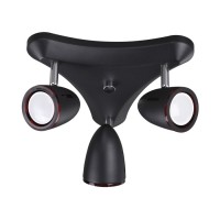 Спот Odeon IMAGIO 3824/3C