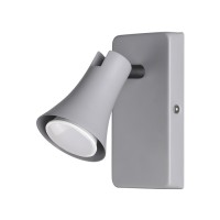 Спот Odeon REANNA 3825/1W