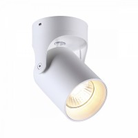 Потолочный накладной светильник Odeon CORSUS 3854/1C