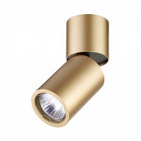 Светильник накладной Odeon DUETTA 3895/1C
