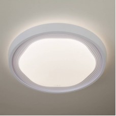 Светильник Elektrostandard 40005/1 LED белый Lome