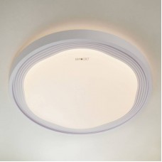Светильник Elektrostandard 40006/1 LED белый Lome
