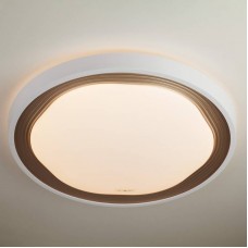 Светильник Eurosvet 40006/1 LED кофе 70W Range