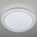 Светильник Elektrostandard 40013/1 LED белый Potta