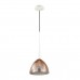 Подвесной светильник Odeon PAOLO 4010/1