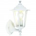 Уличный настенный светильник Brilliant Crown 40281/05